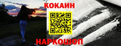 индика Кингисепп