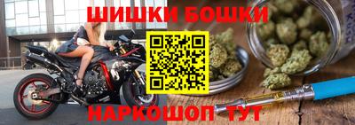 индика Кингисепп