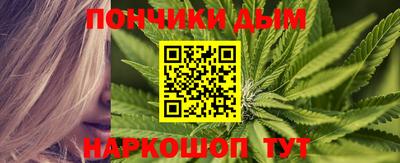 индика Кингисепп