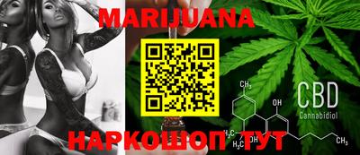 индика Кингисепп