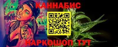 индика Кингисепп