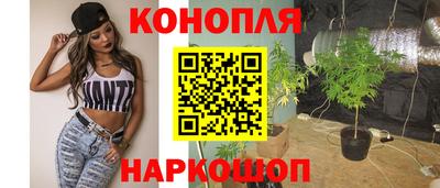 индика Кингисепп