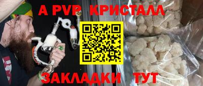 индика Кингисепп