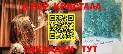 индика Кингисепп