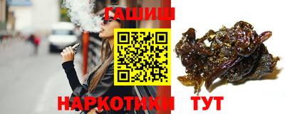 индика Кингисепп