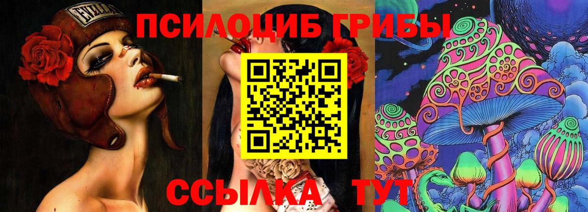 Псилоцибиновые грибы Cubensis  Вход с VPN  как найти закладки  Псилоцибиновые грибы MAGIC MUSHROOMS  Красный Сулин 